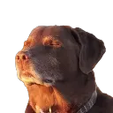 emoji_11