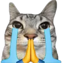 emoji_13