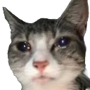 emoji_14
