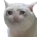 emoji_15