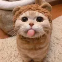 cha_lion