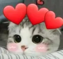 cute_billi
