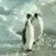 x_penguinslap