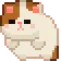 GC_KittyRoll