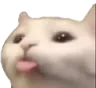 cattongue