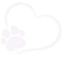 aa1_