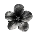 c02
