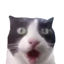 emoji_286