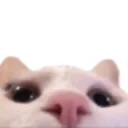 emoji_294