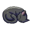kittysleep