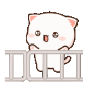 happyjumpingcat