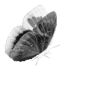 gothicbutterfly Discord emoji