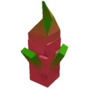 Dragon_Fruit