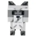 Raccoon