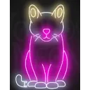 multicolor_cat_ggovercast
