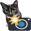 cat_captured_ggovercast