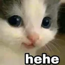 hehecat
