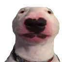 bruh