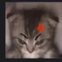 mad