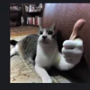 ok