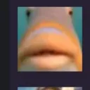 blobfih