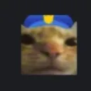 meowpolice