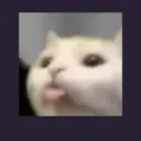 bleh