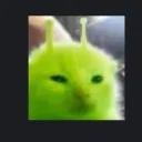 alienkat
