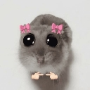 A gray hamster with two pink bows on its head performing the shy finger-touching gesture.