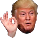 Ok_Trump custom emote | Cloudy Gaming UK ☁🎮