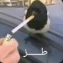 emoji_16 custom emote | الفريق الاقوى🗡