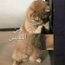 emoji_24 custom emote | الفريق الاقوى🗡