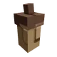 acorn