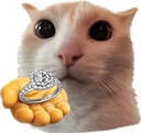 Ring Discord Emoji - Mischief ✰