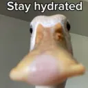 Stay_hydrated