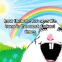 How_bro_seeing_life