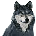 wolfvibe