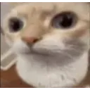 starski
