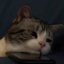 9995564e9aaf2a8c55e3270475bd0bf2