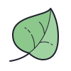:leaf: