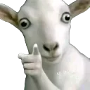 emoji_29
