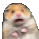 wtf