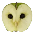 Oapple