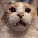 :emoji_53: