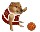 doggieplayingbasketball