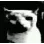 billi_dark