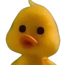 coincoin Discord emoji