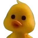 :coincoin: coincoin