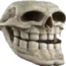 1629skull