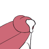 cumming animated Discord emote from SweetLove (18+)